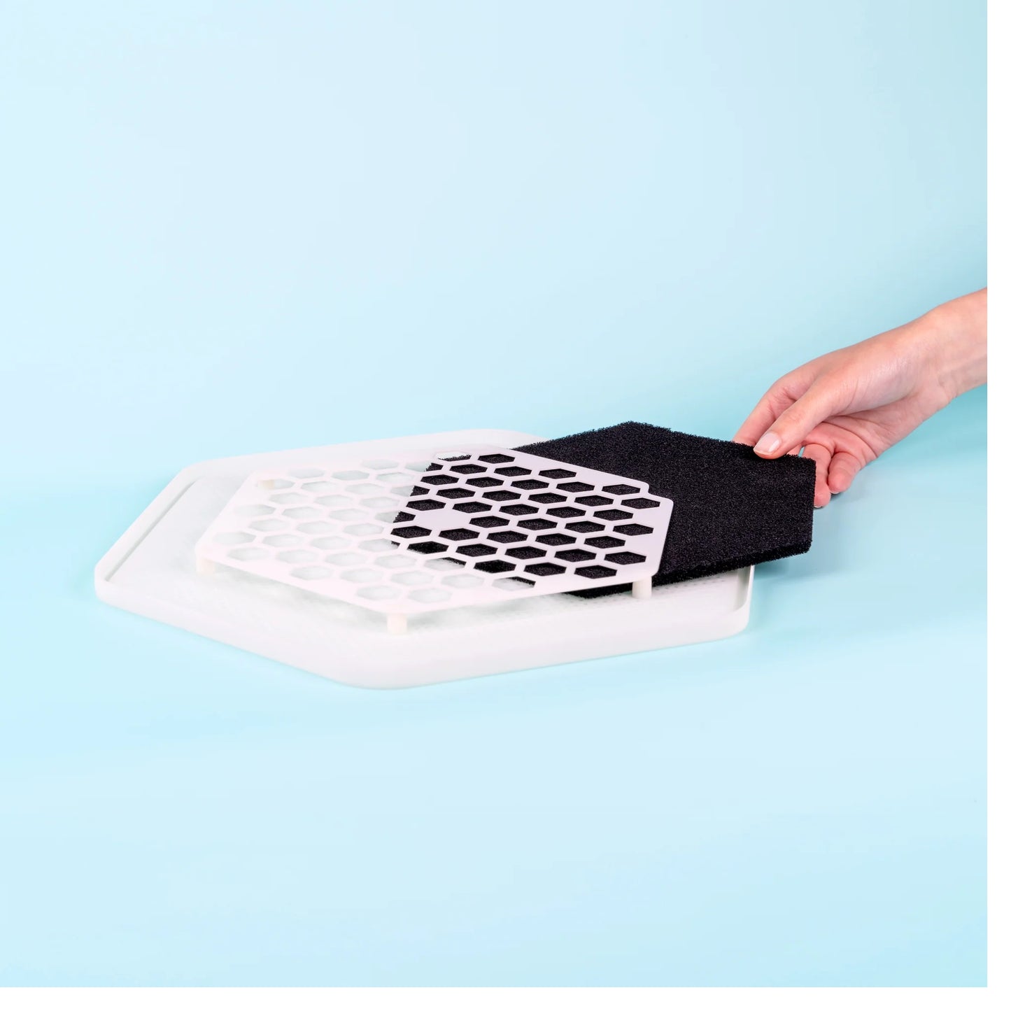 The Mealworm Growing Pods - Free Delivery for UK